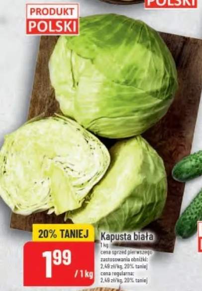 Kapusta biała