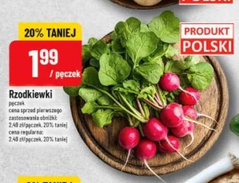 Rzodkiewki