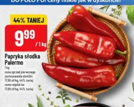Papryka słodka Palermo
