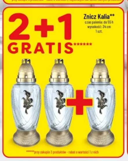 Znicz Kalia