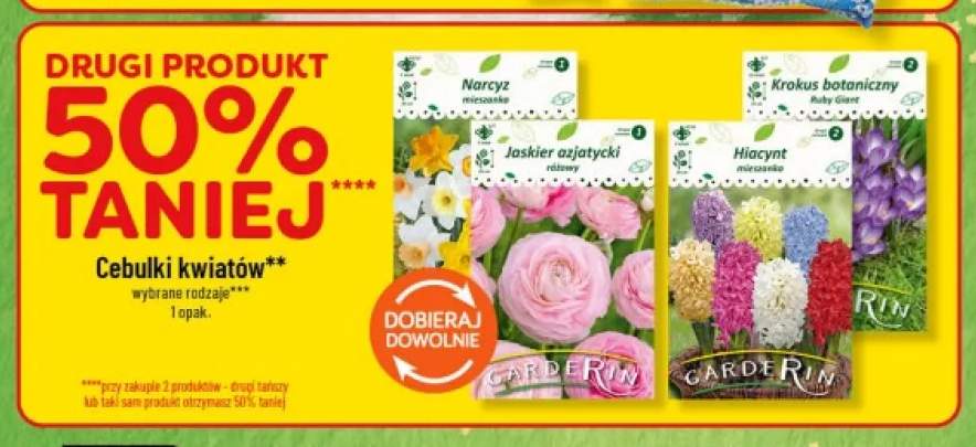 Cebulki kwiatów narcyz mieszanka Garderin +3 warianty