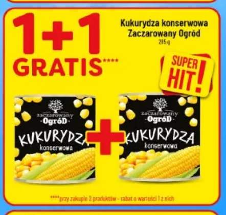 Kukurydza konserwowa Zaczarowany Ogród