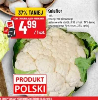 Kalafior