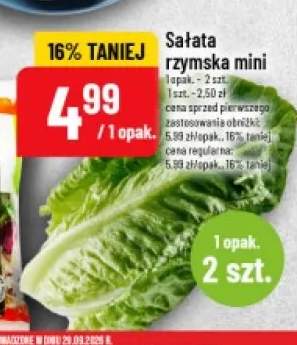 Sałata rzymska mini