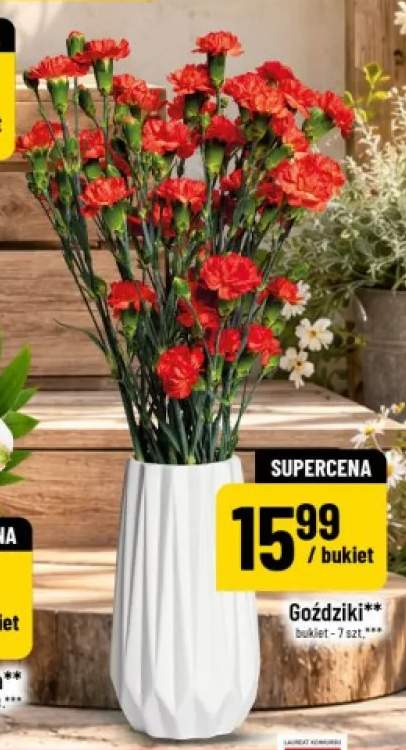 Goździki bukiet 7 szt.