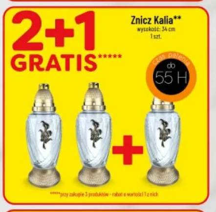 Znicz Kalia
