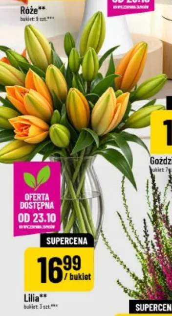 Lilia bukiet 3 szt.