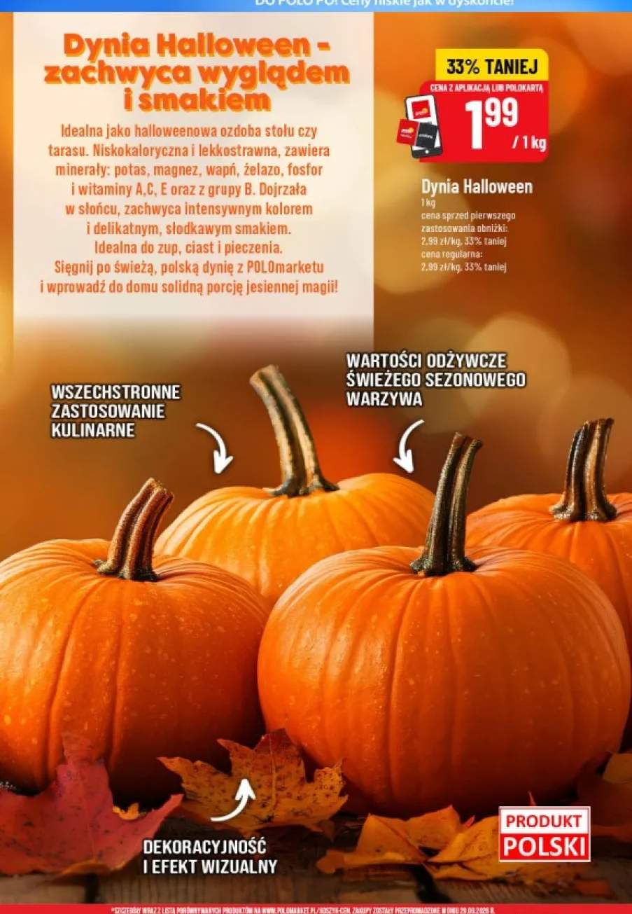 Dynia Halloween