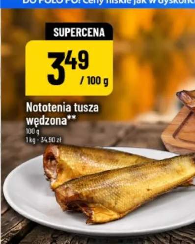 Nototenia tusza wędzona