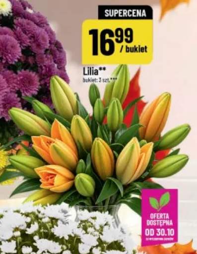 Lilia 3-pak