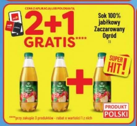 Sok jabłkowy Zaczarowany Ogród 100%