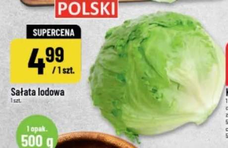 Sałata lodowa