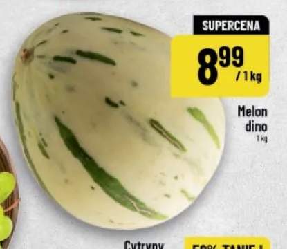 Melon Dino