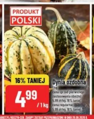 Dynia ozdobna