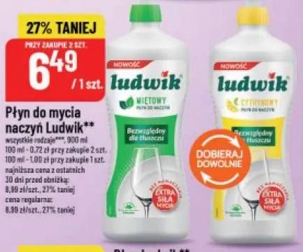 Płyn do mycia naczyń Ludwik miętowy +1 wariant