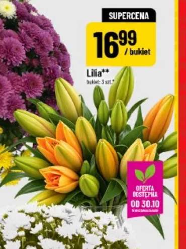 Lilia