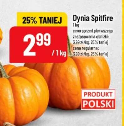 Dynia Spitfire