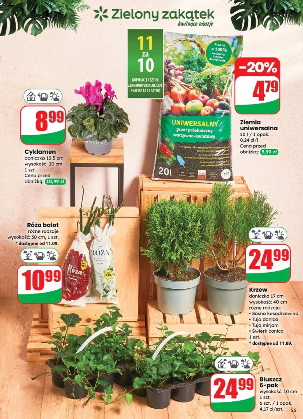 Okładka gazetki