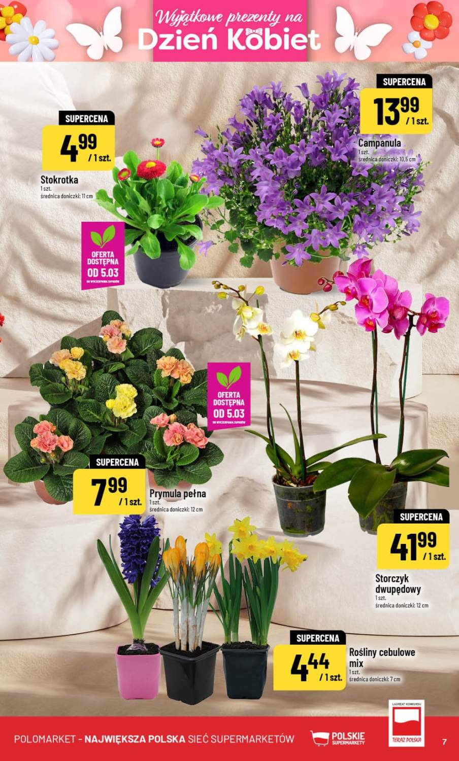 Gazetka – strona 7