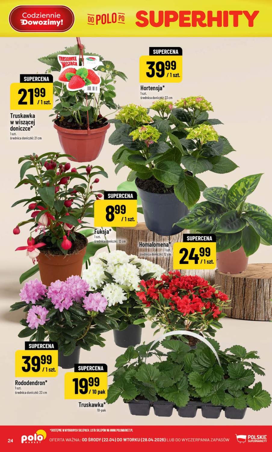 Gazetka – strona 24